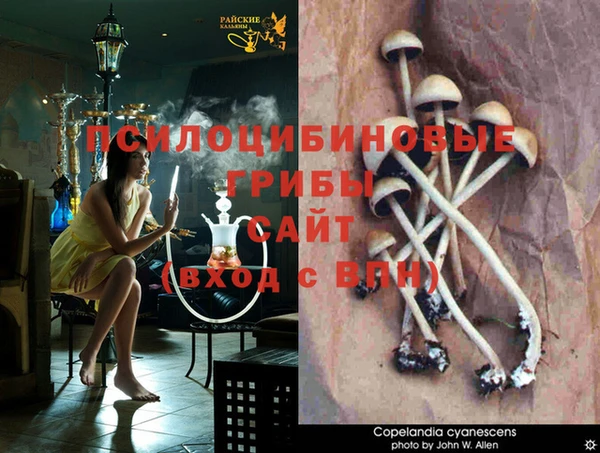 а пвп мука Богородицк