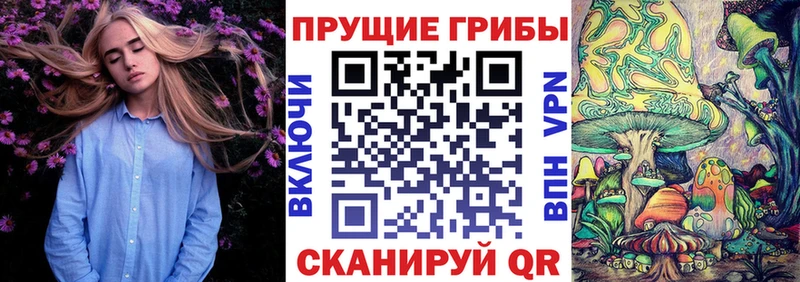 Галлюциногенные грибы Cubensis  Купить закладки  Полысаево 